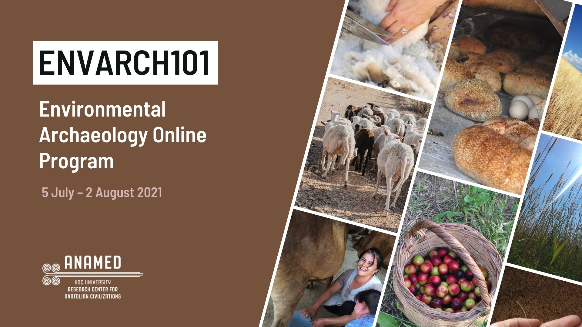 Environmental Archaeology Online Program ENVARCH101