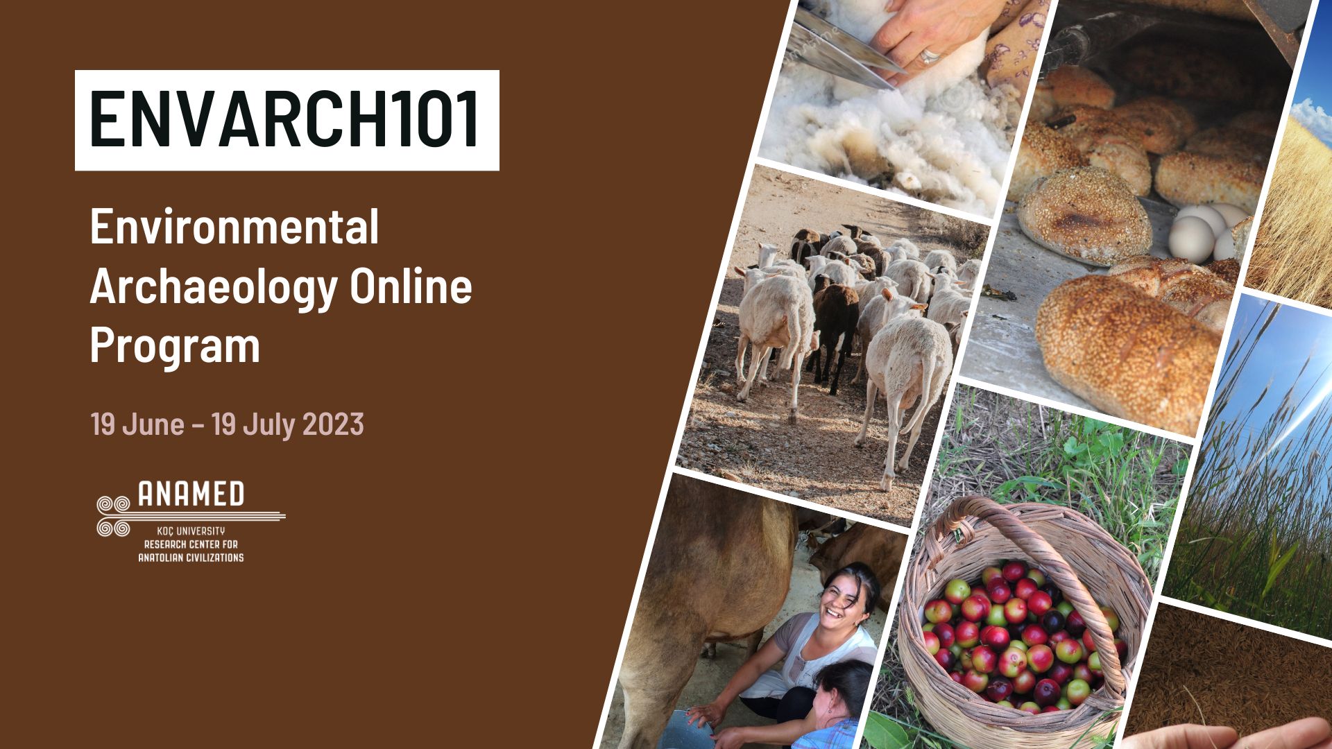 Environmental Archaeology Online Program ENVARCH101